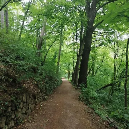 Na Wierchu Gæstehus *