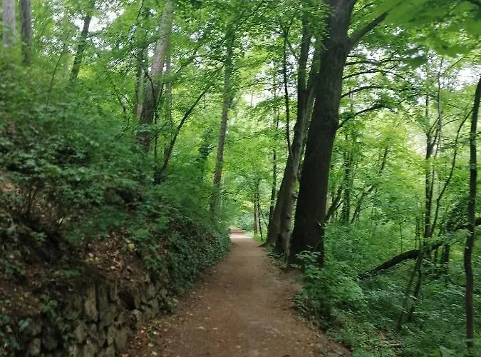 Na Wierchu Affittacamere *